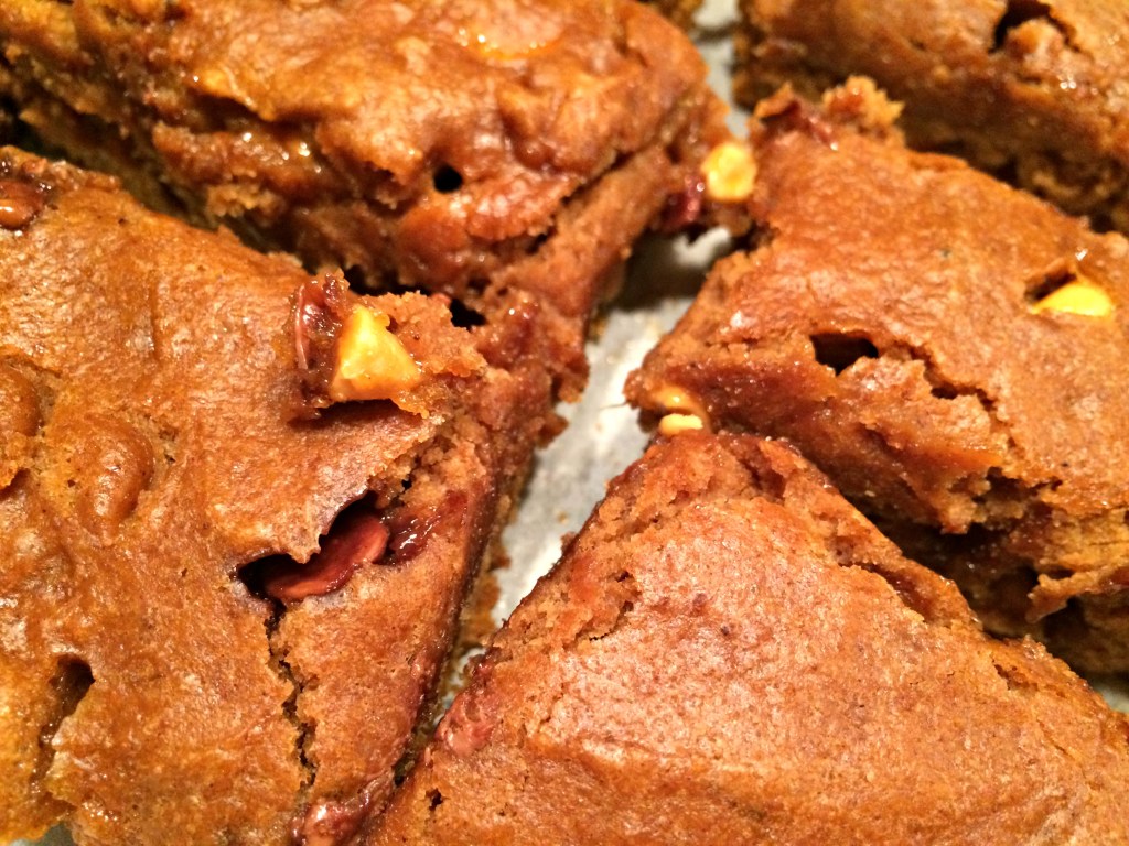 Butterscotch and Chocolate Chip Pumpkin&nbsp;Brownies